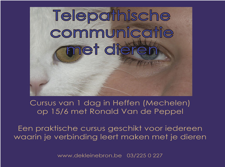 Workshops Cursus : Telepathische communicatie dieren