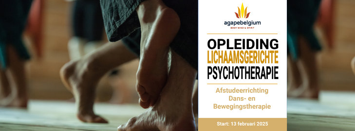 Workshops 4-jarige opleiding Dans- bewegingstherapie