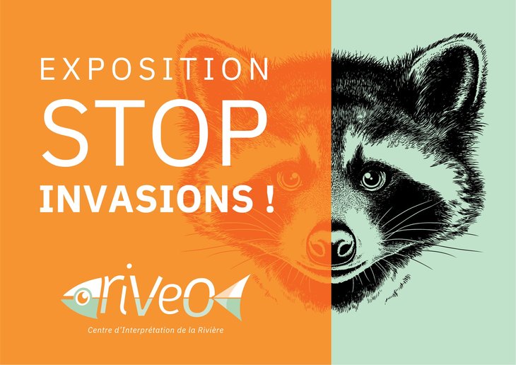 Tentoonstellingen Tentoonstelling  Stop Invasions! 