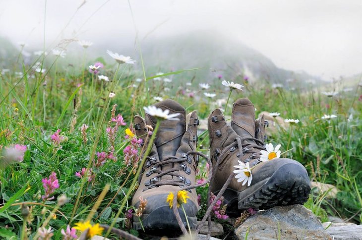 Workshops Kruidenwandeling