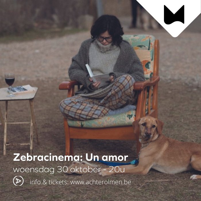 Voorstellingen Zebracinema: amor