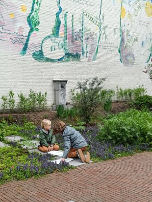 Tentoonstellingen Schatten Vlieg De Hofkamer