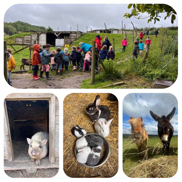 Ontspanning Bezoek de boerderij, parcours autonomie