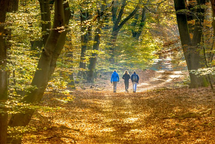 Workshops Mindful wandelen lessenreeks