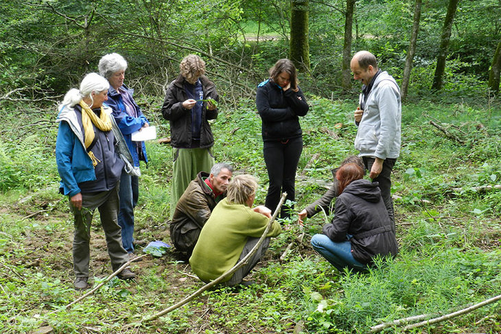 Workshops Permacultuur introductieweekend