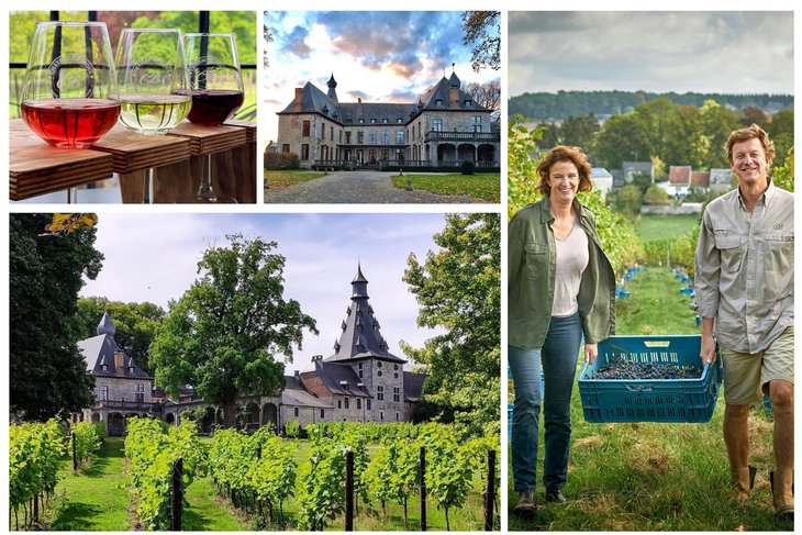 Ontspanning Een bucolische wandeling: ontdekking naar kasteel een wijngaard