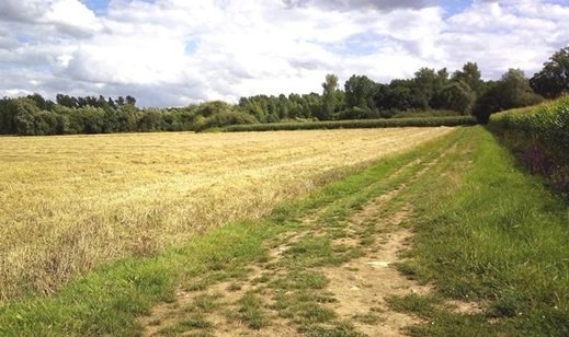 Ontspanning Wandeldag - Hogtse Herfstwandeling