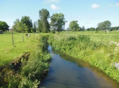 Ontspanning 8ste Streekwandeling Hagelandgidsen