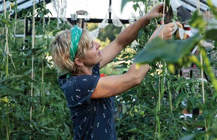 Voordrachten Geannuleerd - Lezing  Moestuinieren  door Zsazsa