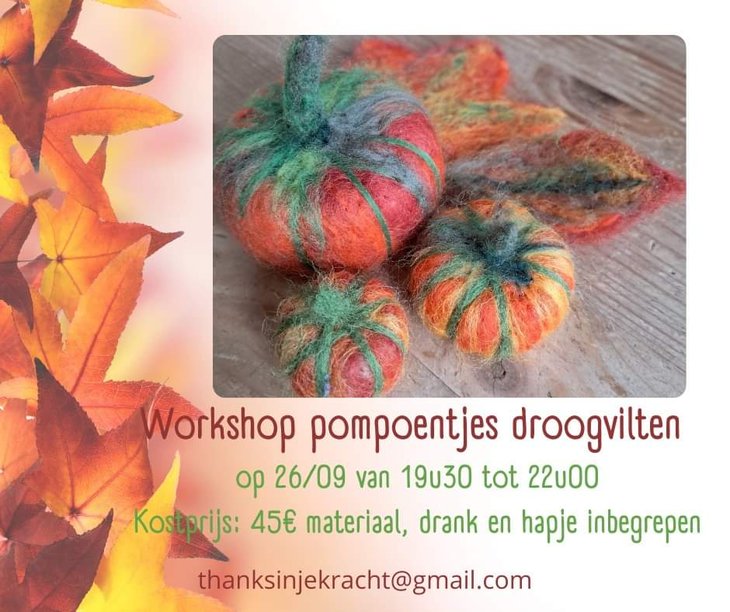 Workshops Workshop pompoentjes droogvilten