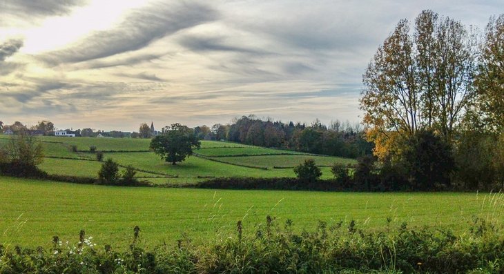 Ontspanning Dag de Trage Weg: Dagwandeling Sint-Maria-Oudenhove