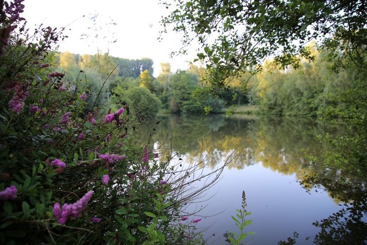 Ontspanning Dag de Trage Weg: Gegidste landschapswandeling de Maarkebeekvallei