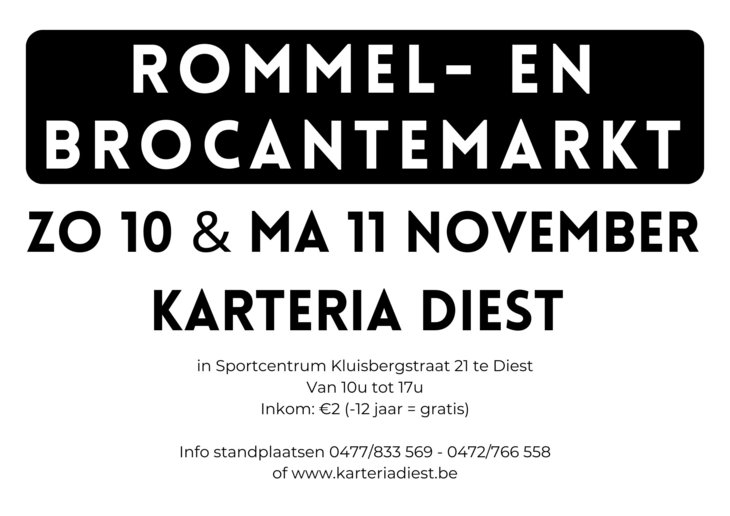  Grote daagse rommel brocantemarkt