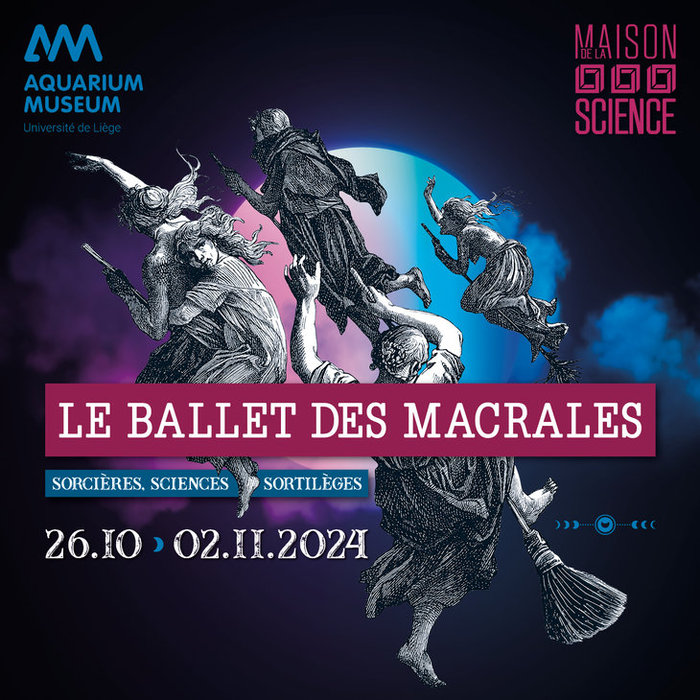 Ontspanning Halloween: ballet de macrales - Heksen, wetenschappen spreuken