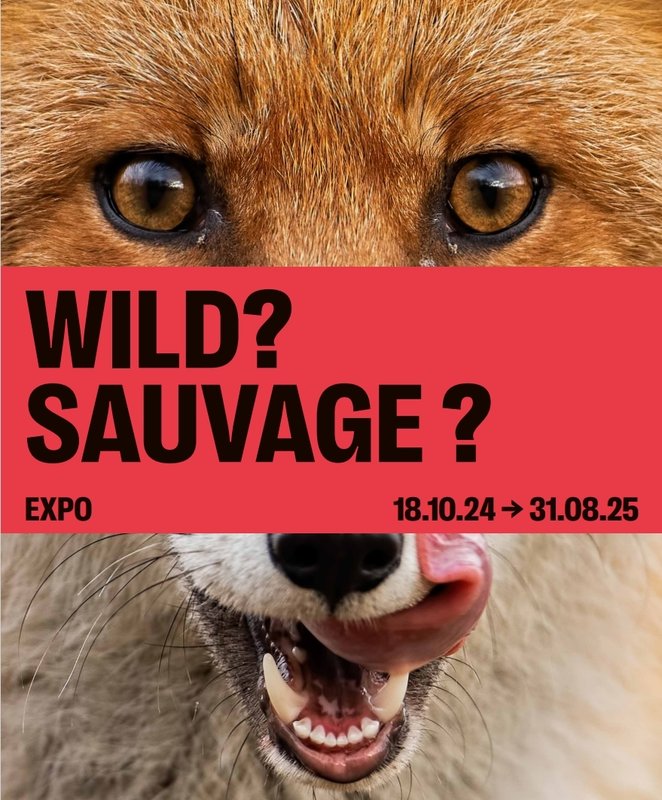 Tentoonstellingen Expo Wild?