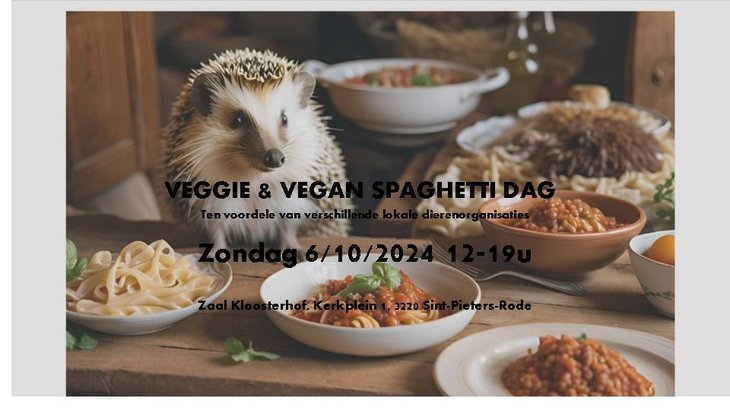 Ontspanning Veggie Vegan Spaghettidag