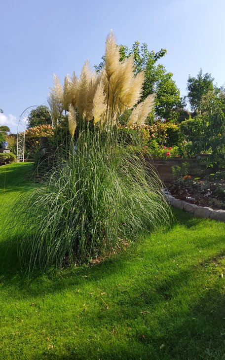 Ontspanning Genevive Alain heten u de herfst welkom de Jardin clef temps