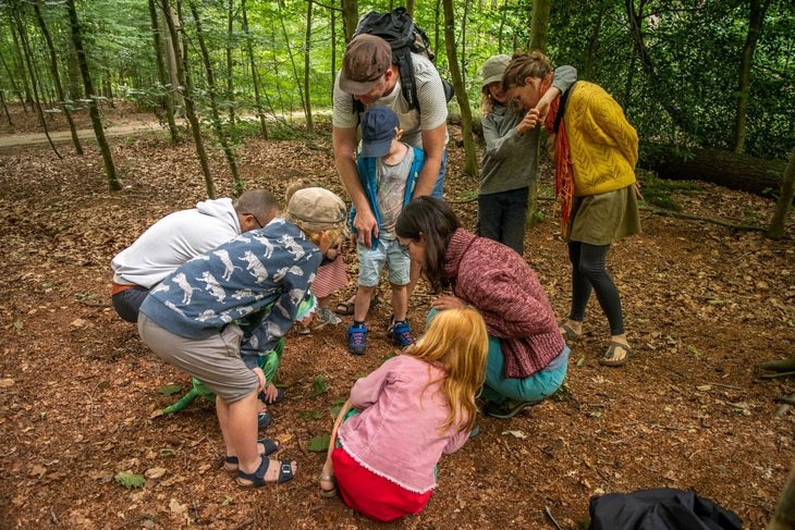 Ontspanning Gezinswandeling: speuren naar sporen