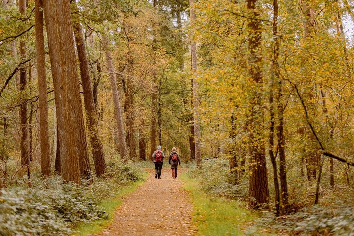 Ontspanning Natuurwandeling: groen erfgoed