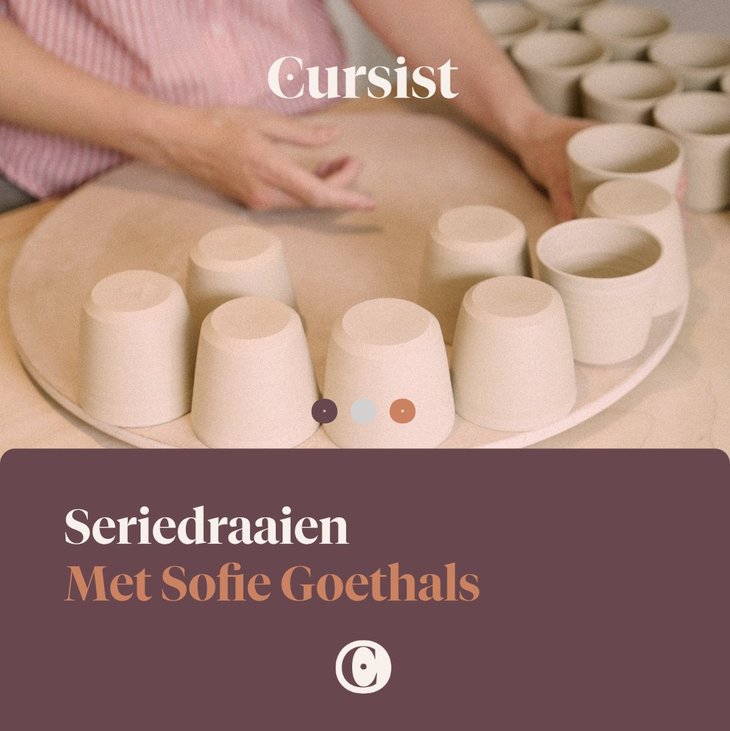 Workshops Online cursus Seriedraaien Sofie Goethals