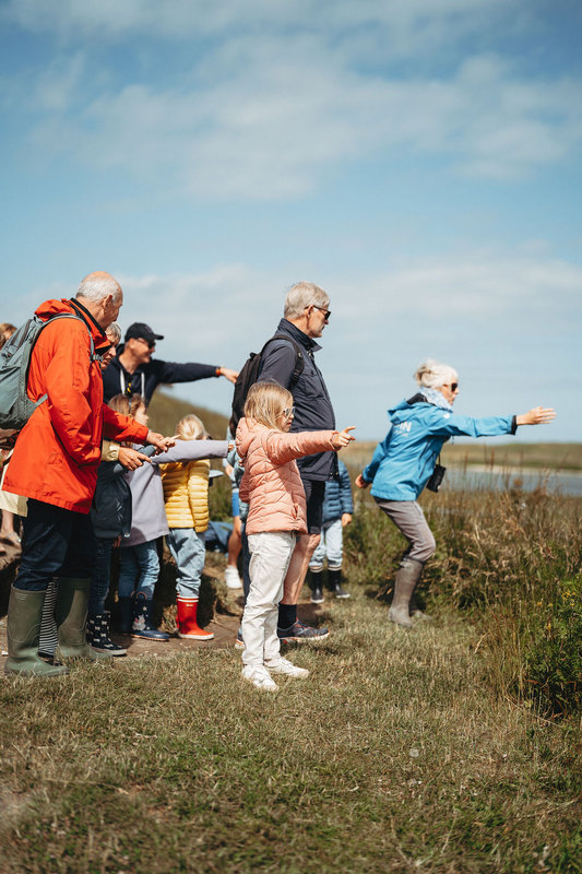 Ontspanning Gezinswandelingen Zwin Natuur Park