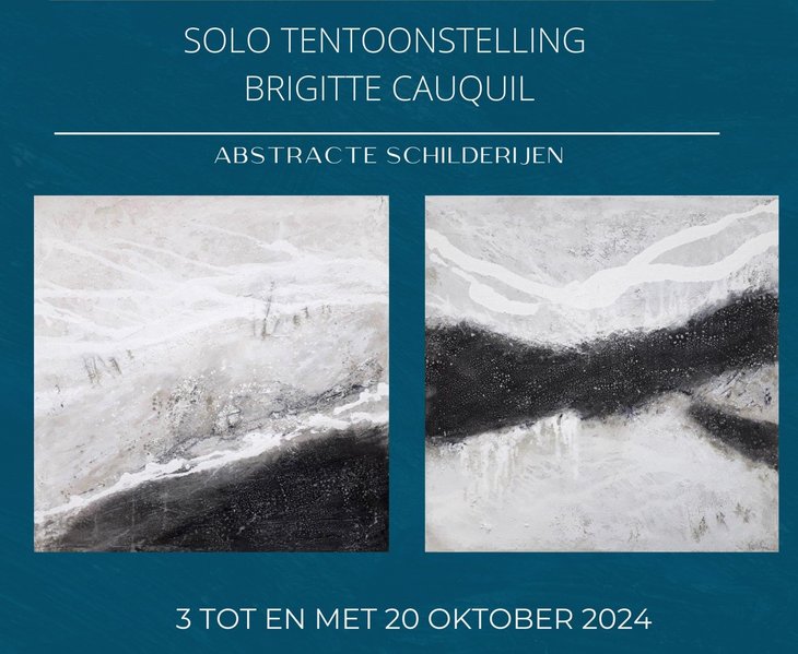 Tentoonstellingen Solo tentoonstelling Brigitte Cauquil