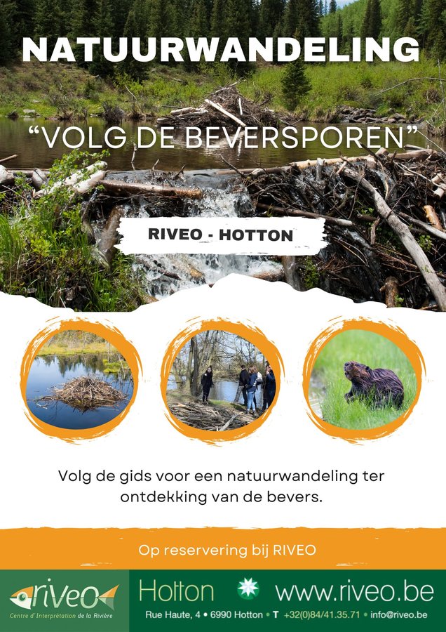 Ontspanning Natuurwandeling  volg bever sporen 