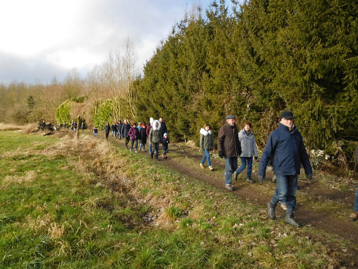 Ontspanning Trage Wegen Sneukelwandeling