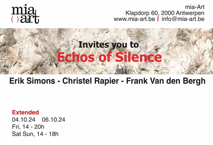 Tentoonstellingen Tentoonstelling Echos Silence