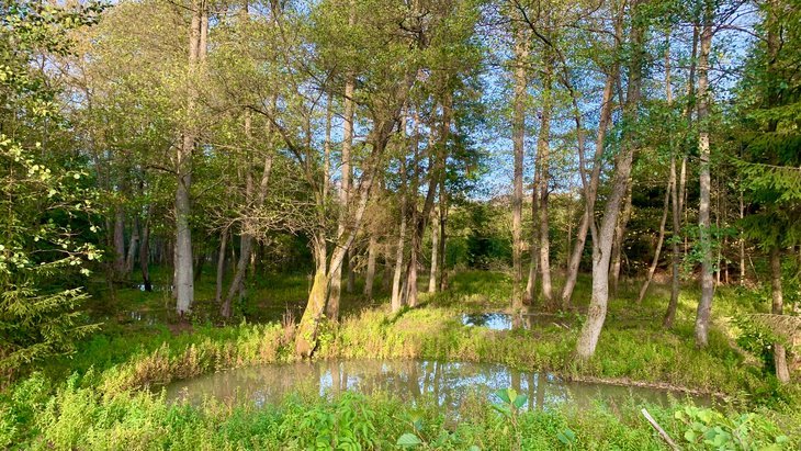 Tentoonstellingen Fototentoonstelling Wetlands  