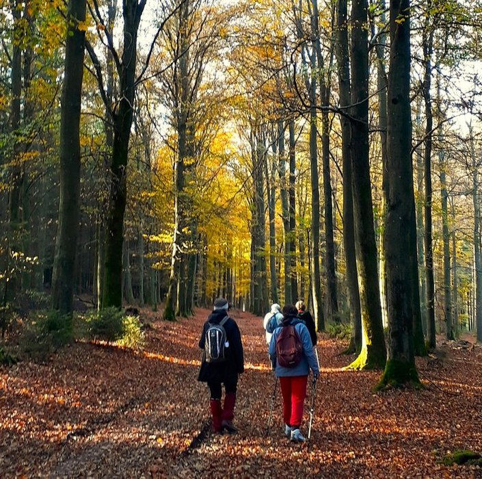 Ontspanning Allerheiligen volle gang