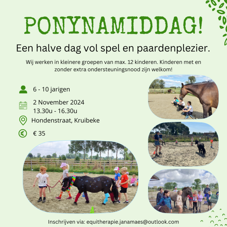 Ontspanning Ponynamiddag