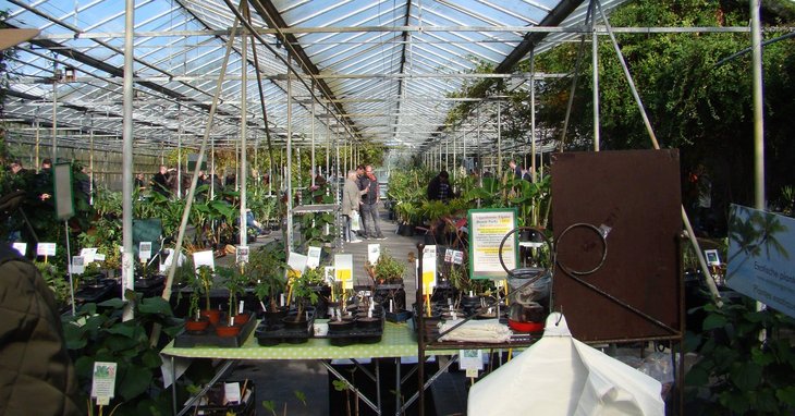 Ontspanning Najaarsbeurs Exotische Planten