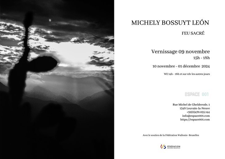 Tentoonstellingen Michely Bossuyt L op