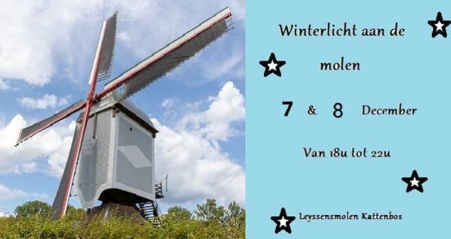 Ontspanning Winterlicht de molen