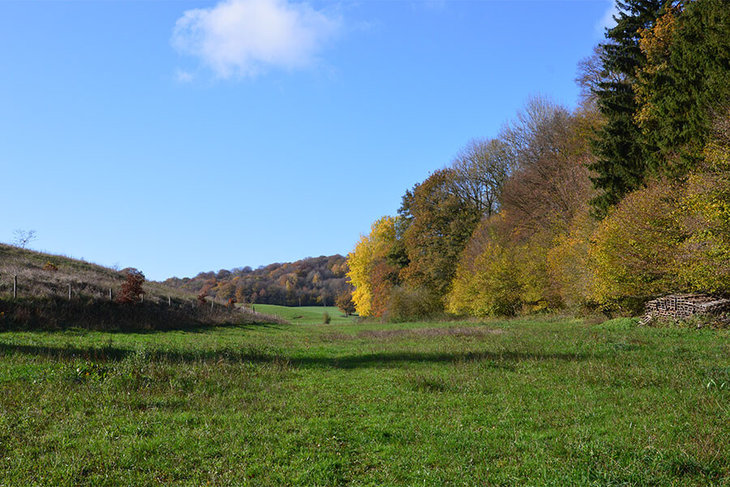 Workshops Wandelweekend de Ardennen