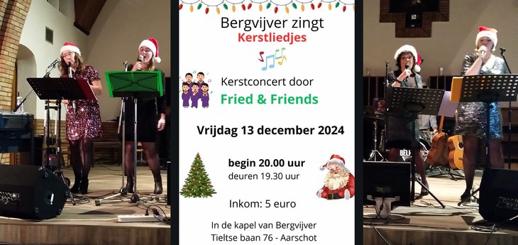 Concerten Bergvijver zingt kerstliedjes - Door Fried Friends