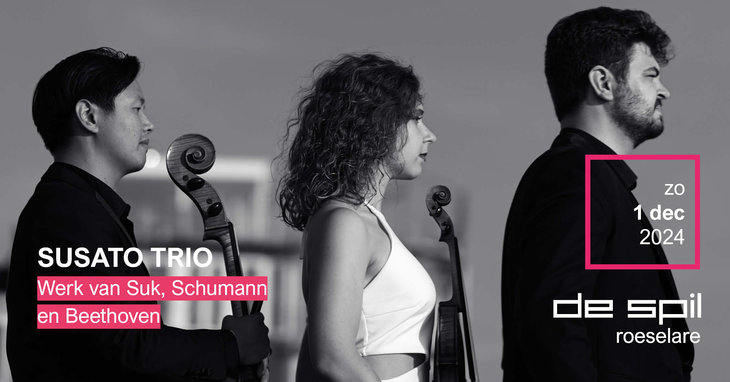 Concerten Susato Trio Werk Suk, Schuman Beethoven