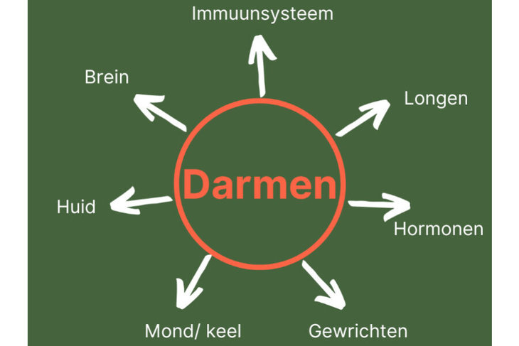 Workshops Het geheim een gezond lichaam: gezonde darm