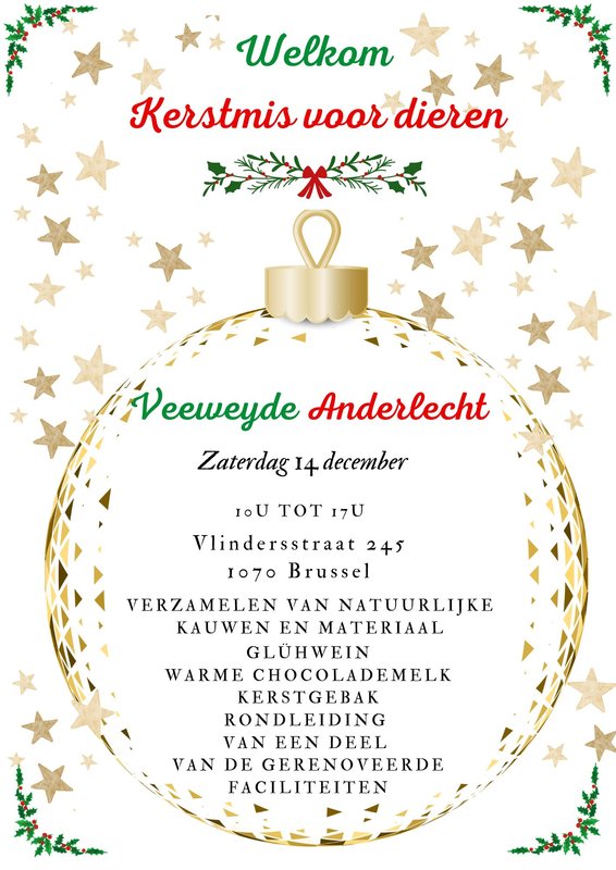 Ontspanning Veeweyde Dierenkerst 14 december