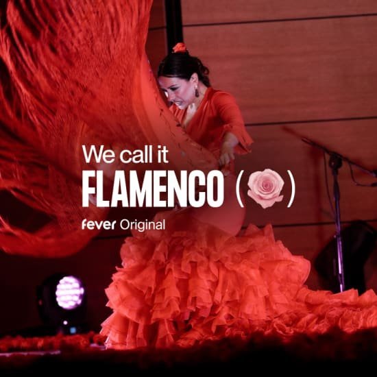 Tentoonstellingen Wij noemen Flamenco: unieke Spaanse dansshow