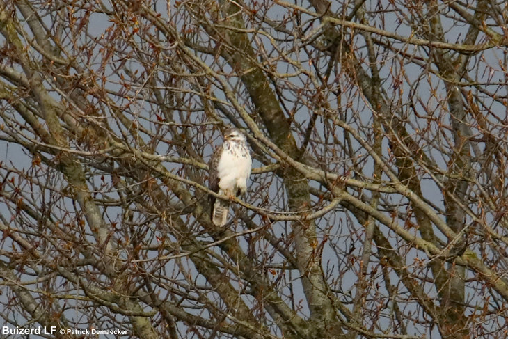 Ontspanning Geleide natuurwandeling het Vlaams natuurreservaat Zwinduinen 