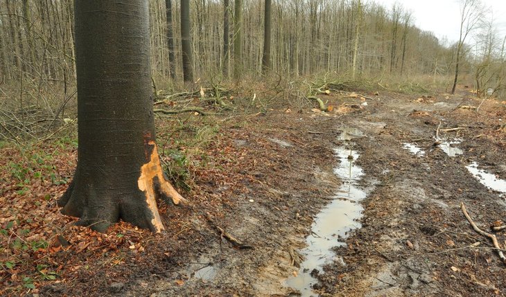 Voordrachten Curus: Bodemschade bodemproblemen