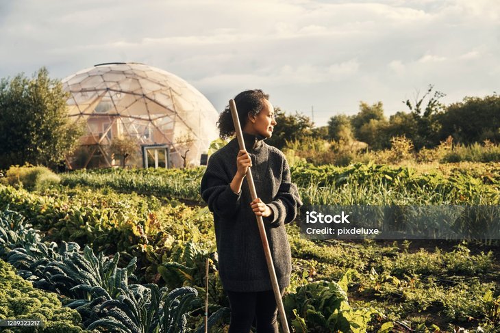 Voordrachten Tuincursus: ecologisch tuinieren