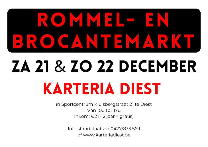  Grote daagse rommel brocantemarkt