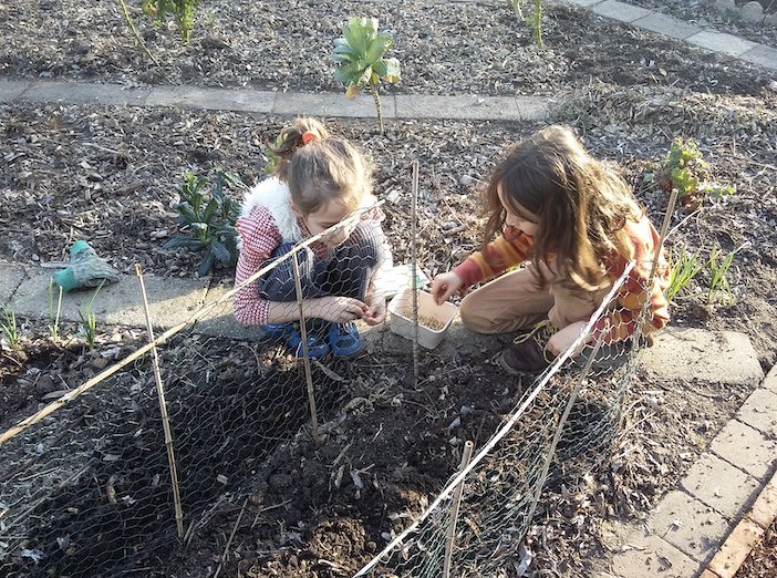 Workshops Kampje: Lentemagie: ontdekken groeien