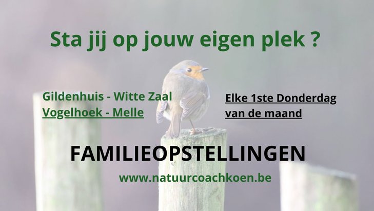 Workshops Familie Opstelling Elke 1ste Donderdag Maand Natuurcoach Koen