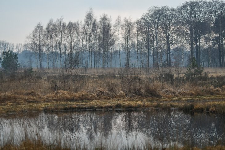 Ontspanning Gezinswandeling: winter het bos