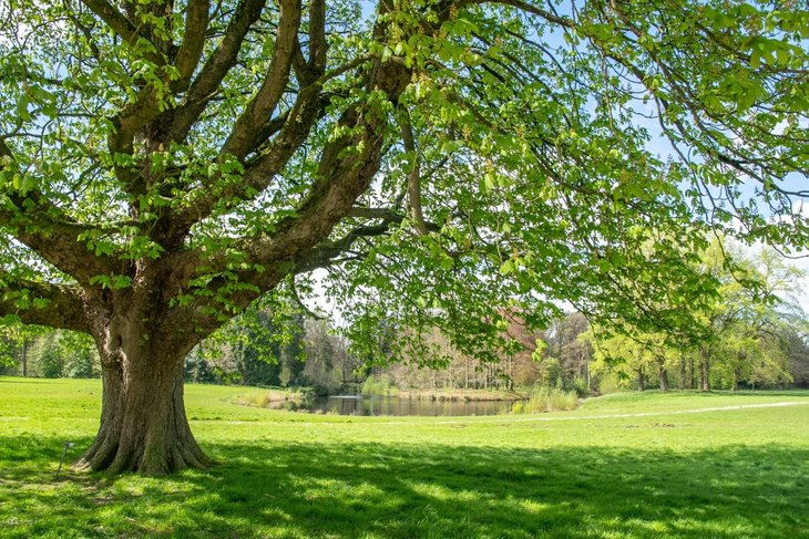 Ontspanning Op ontdekking het Engelse landschapspark