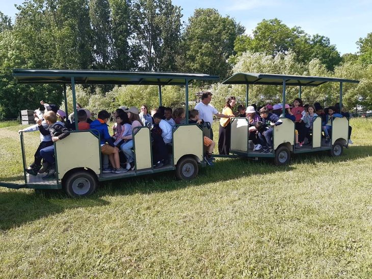 Workshops Ponykamp - boederijkamp - combikamp